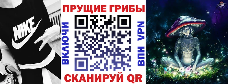 купить наркоту  Светлоград  ОМГ ОМГ как зайти  Псилоцибиновые грибы Psilocybine cubensis 